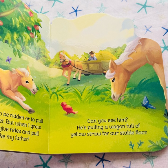 NEW A Little Colt - Picture 4 of 6